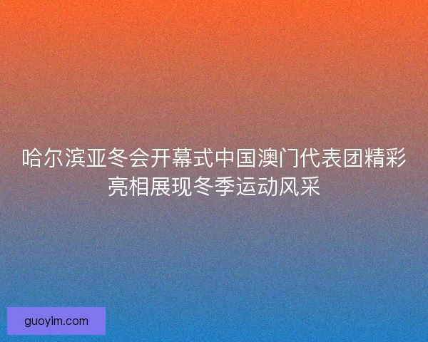 哈尔滨亚冬会开幕式中国澳门代表团精彩亮相展现冬季运动风采