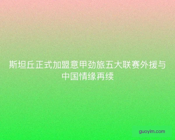 斯坦丘正式加盟意甲劲旅五大联赛外援与中国情缘再续 斯坦丘正式加盟意甲劲旅五大联赛外援与中国情缘再续